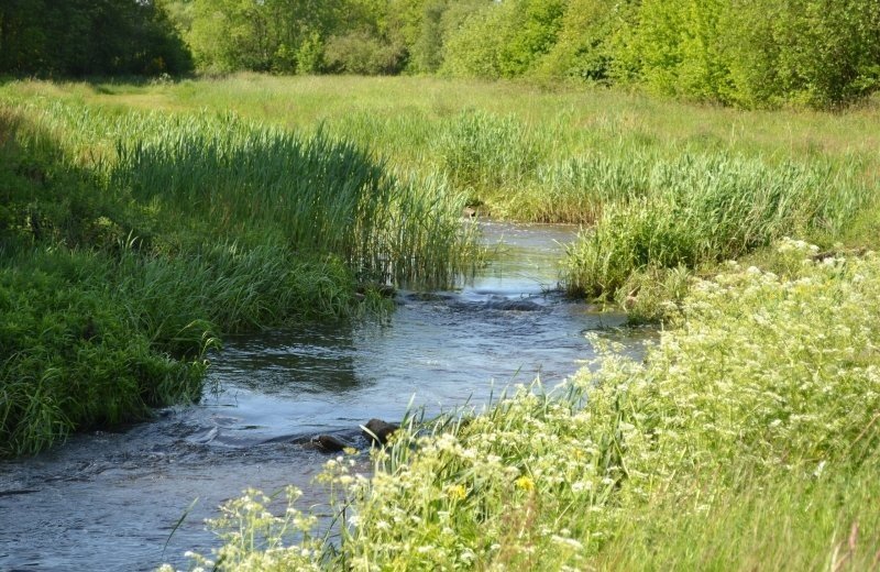 Vistrappen oirschot camperplek aan het water viermannekesbrug